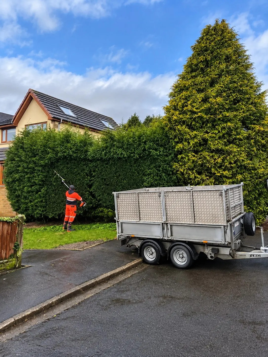 M.R team member trimming a tall hedge