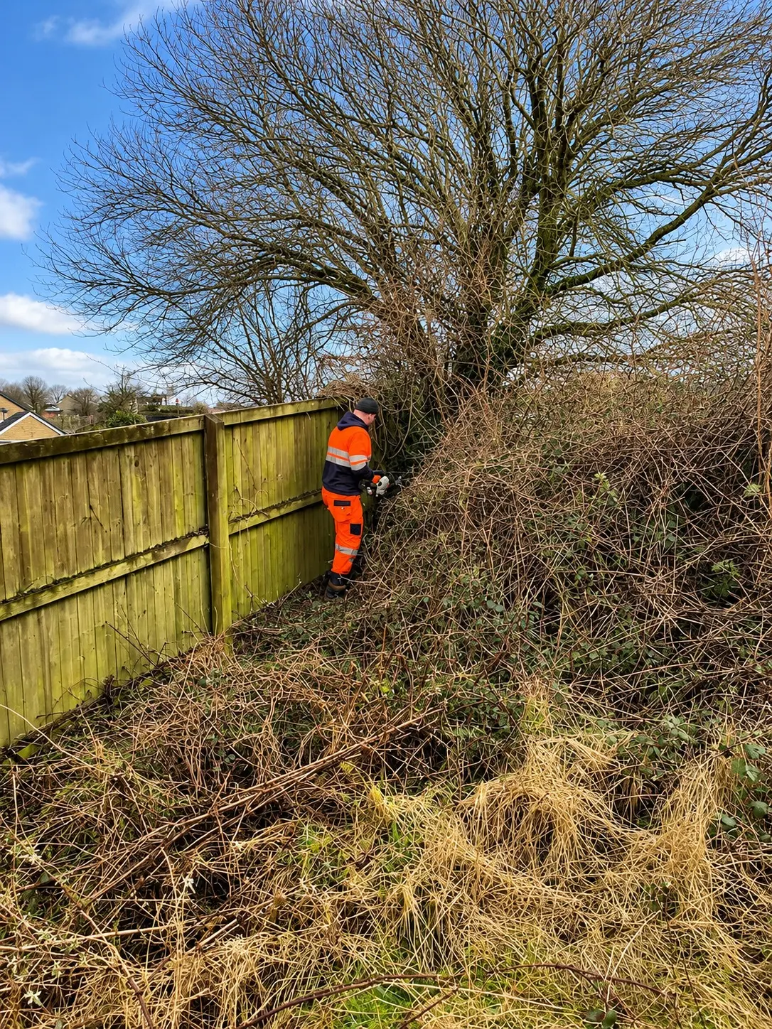 M.R team member clearing heavy overgrowth beside a garden fence