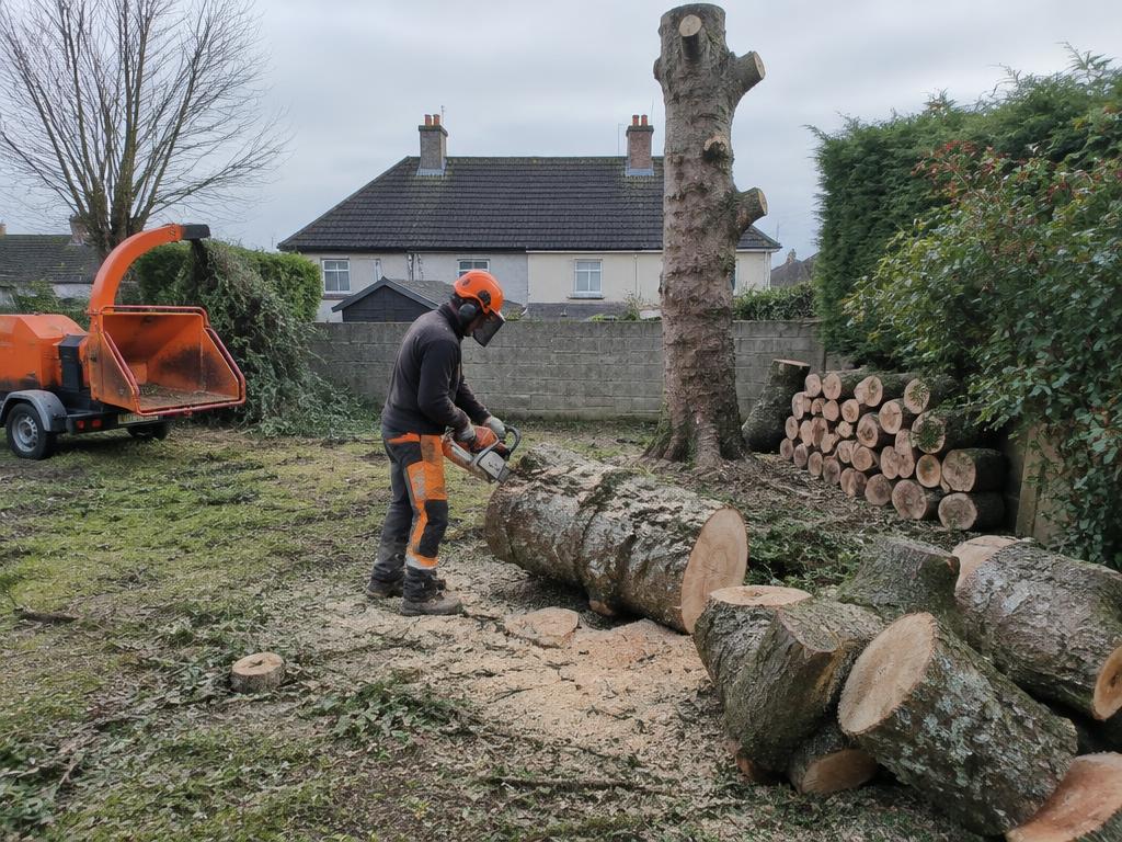 Illustrative image of a tree being sectioned and removed in a residential garden